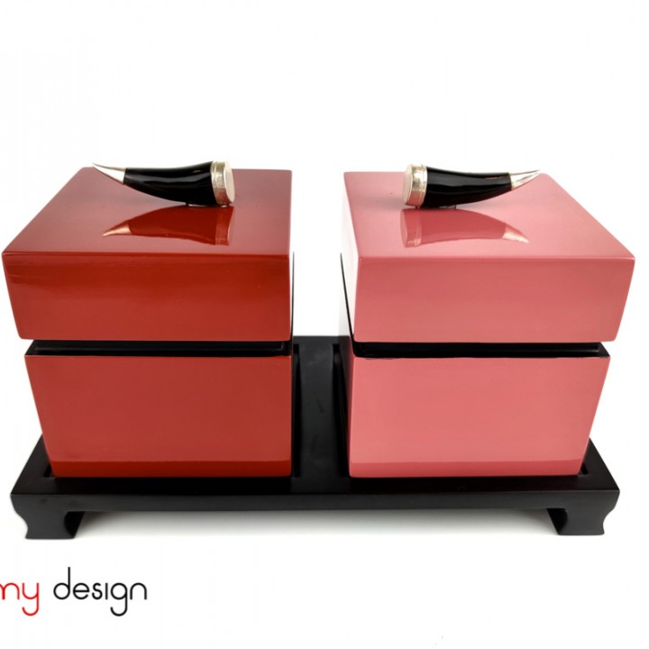 Set of 2 red/pink square boxes 10cm included with horn knob and stand